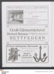 Vorschaubild Seite - 