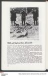 Vorschaubild Seite 34