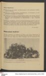 Thumbnail Page 7