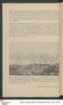 Thumbnail Page 8