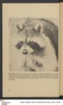 Thumbnail Page 18